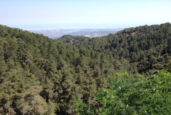 troodos