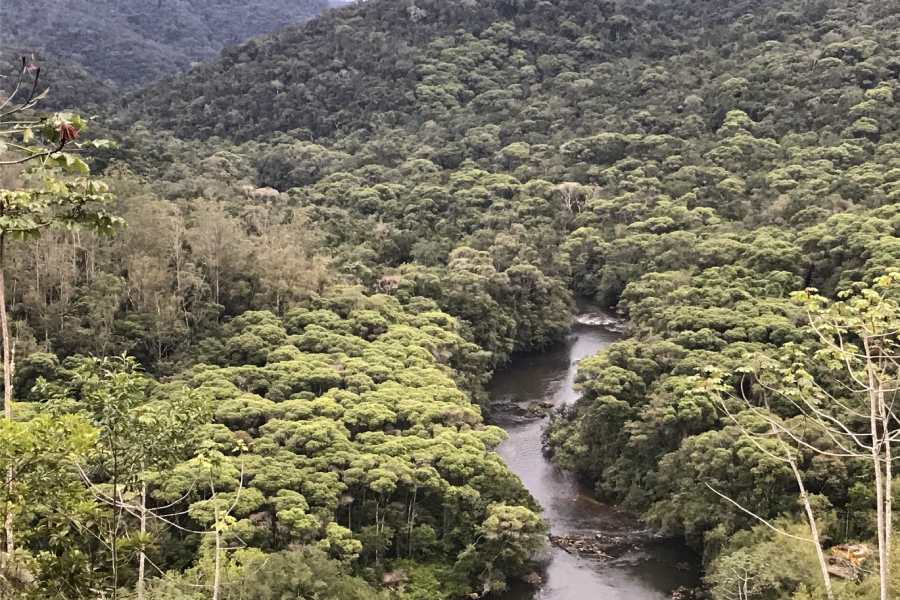 O legado do ecoturismo no Vale do Ribeira: uma floresta de pé no quintal de casa