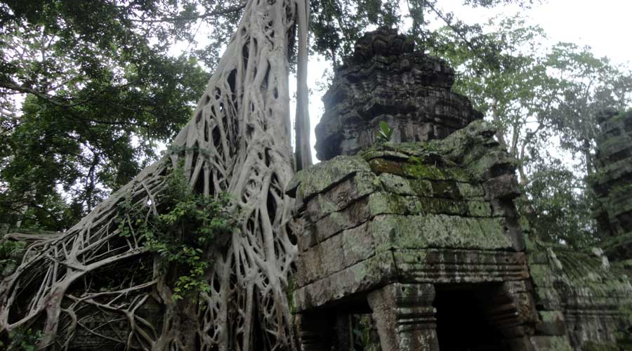 templos de angkor